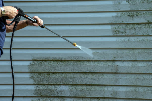 Best Pool Deck Cleaning in Farmer City, IL